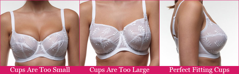 How Big Is a 38D Bra Cup Size?