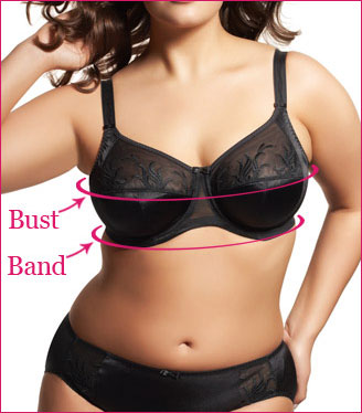 38B Bra Size in DD Cup Sizes Black Support and V-Neck