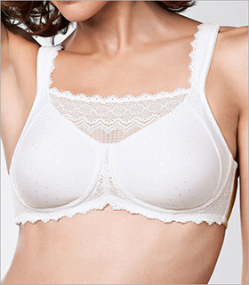 The AA Cup Bras, Petite AA Bra Sizes, Plus Size AA Cup Bras Style