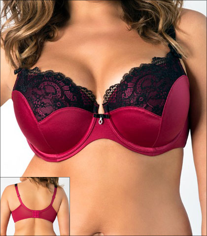 Curvy Couture Foxy Lace Bra Underwire Push Up Padded Style 1017-CAB