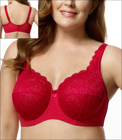 Elila Bra Underwire Full Cup Stretch Lace Style 2311-RD