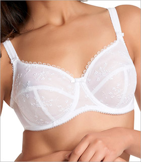 The DD and DDD Cup Bras, Over 500 Different Styles of DD and DDD